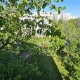 Titan, parcul IOR, Bloc H, decomandat, centrala, nemobilat, vedere la ,,padure,